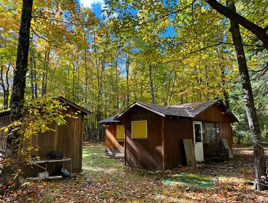2230 Mann Road, Cheboygan, MI 49721 - #3