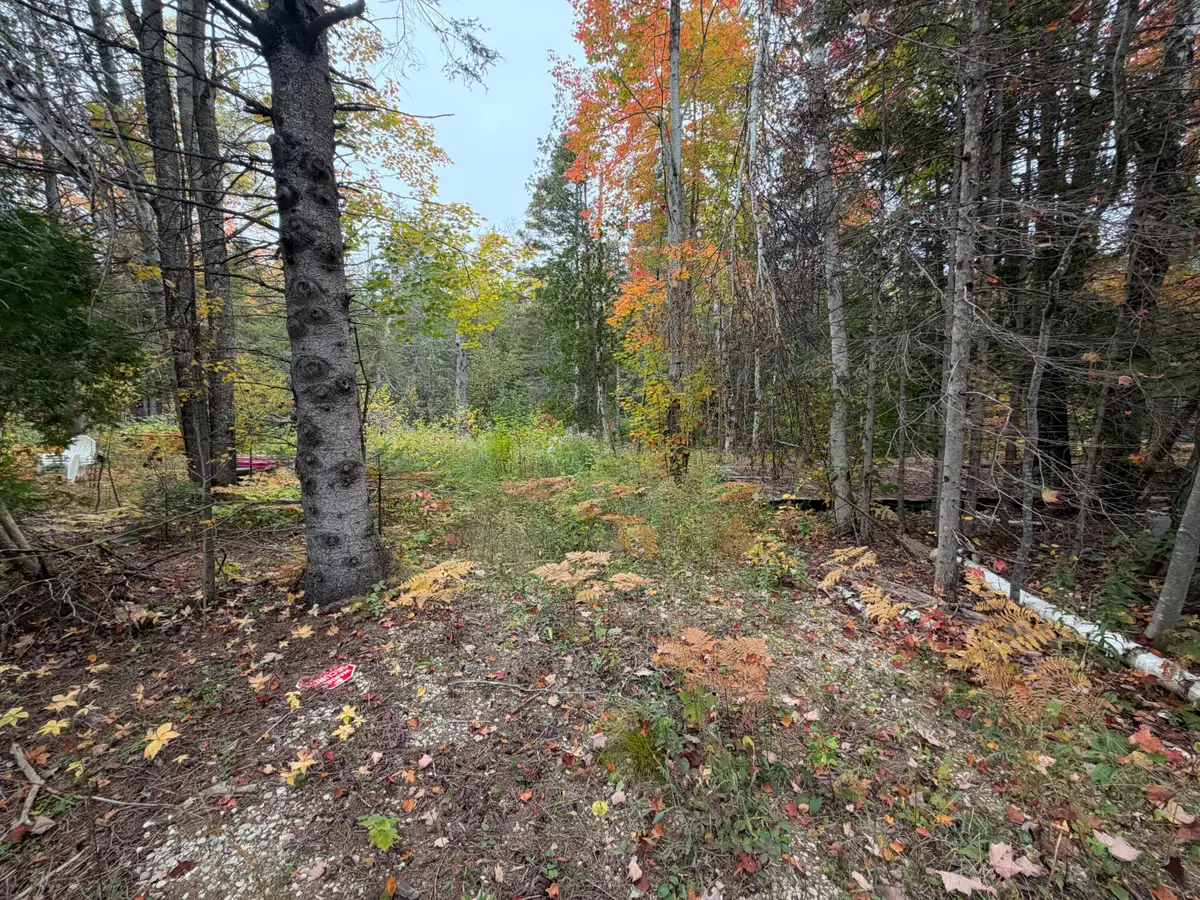 2906 N Mackinac Trail, Saint Ignace, MI 49781 - #1