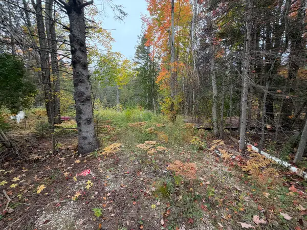 2906 N Mackinac Trail, St. Ignace, MI 49781