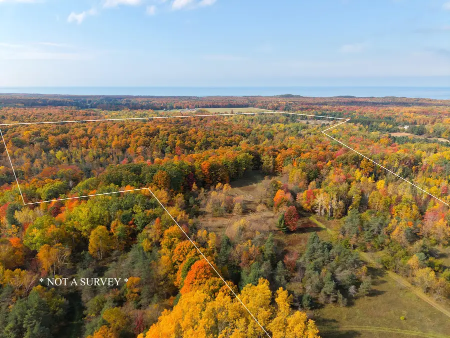 4722 N State Road, Harbor Springs, MI 49740 - #3