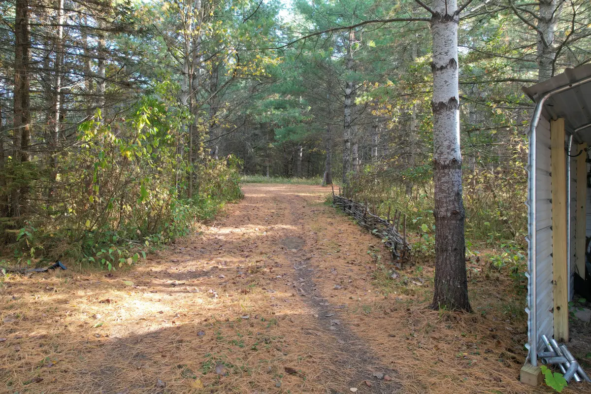 4119 S River Road, Cheboygan, MI 49721 - #1