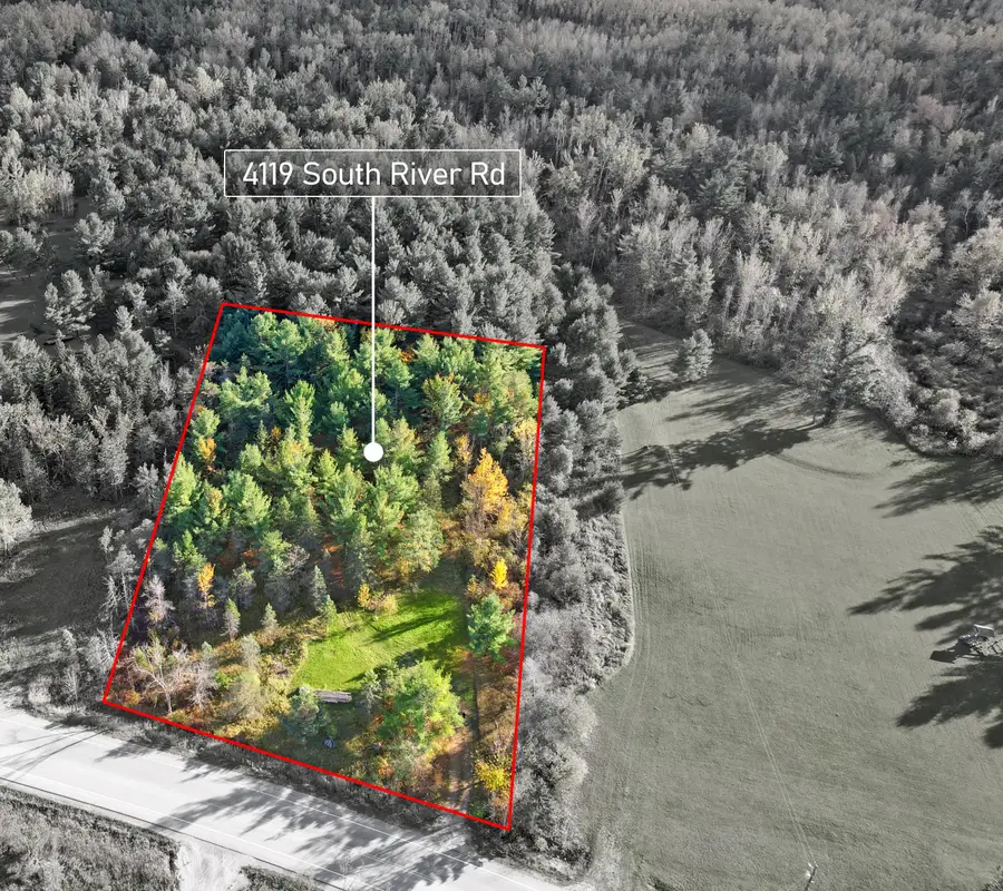 4119 S River Road, Cheboygan, MI 49721 - #3