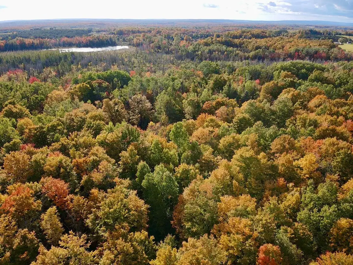V/L Abby Lane, Afton, MI 49705 - #1