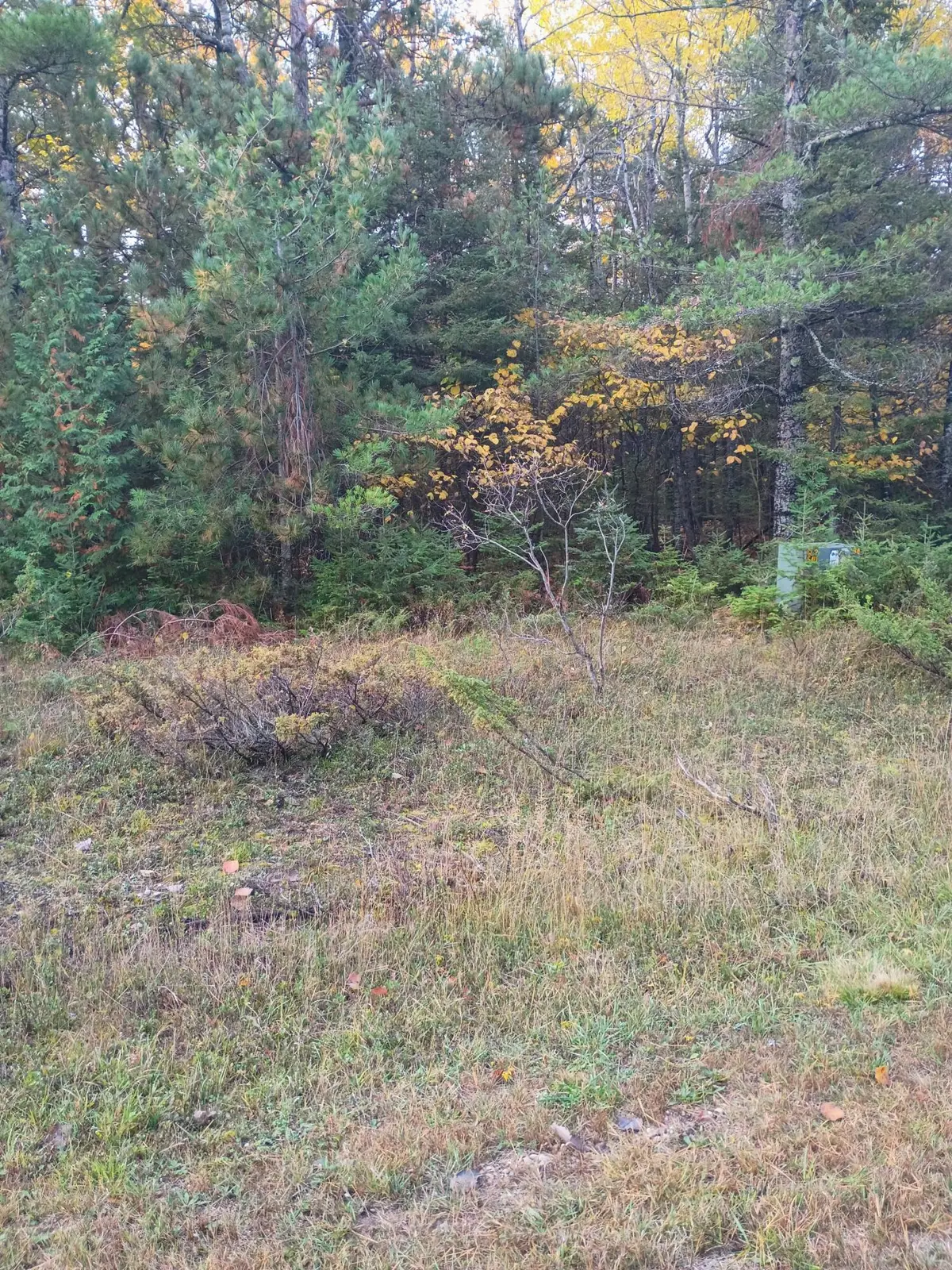 Lot 311 Kauffman Road, Presque Isle, MI 49777 - #1