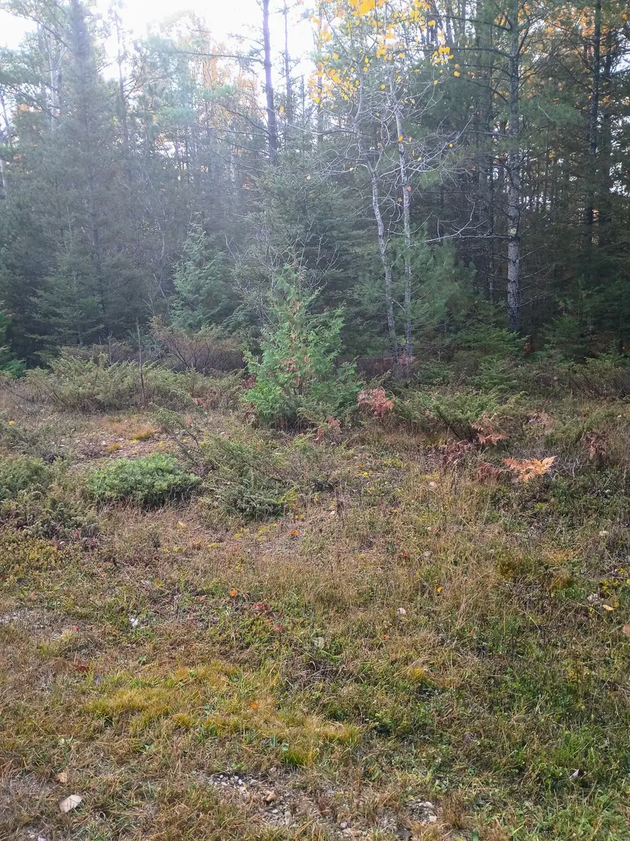 Lot 311 Kauffman Road, Presque Isle, MI 49777 - #3