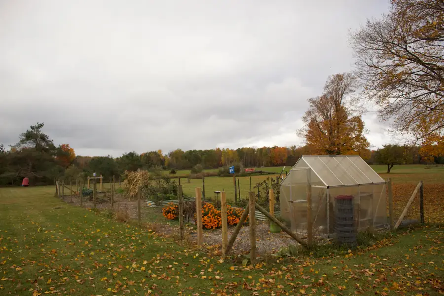 1271 N Everett Road, Roscommon, MI 48653 - #3