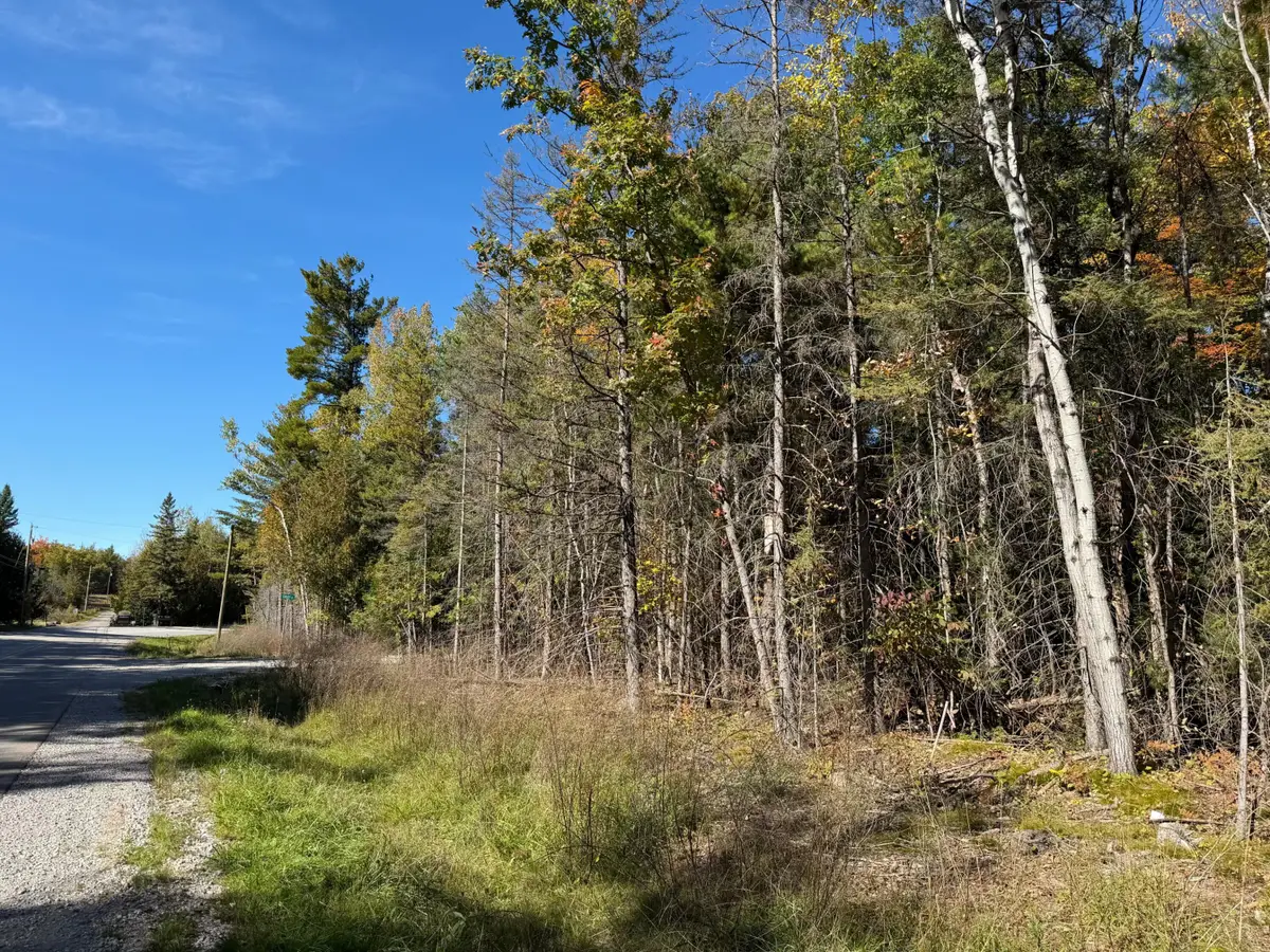372 Lake Winyah Road, Alpena, MI 49707 - #1