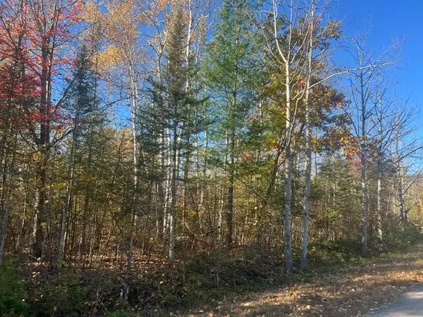 Lot 177 Wilderness Drive, Presque Isle, MI 49777