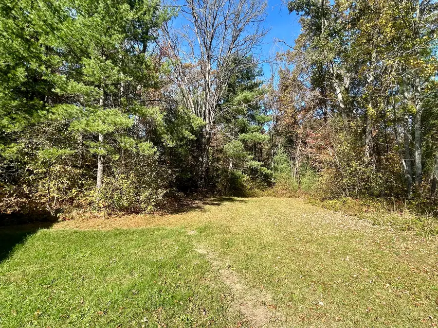 9283 S Grayling Road, Roscommon, MI 48653 - #3