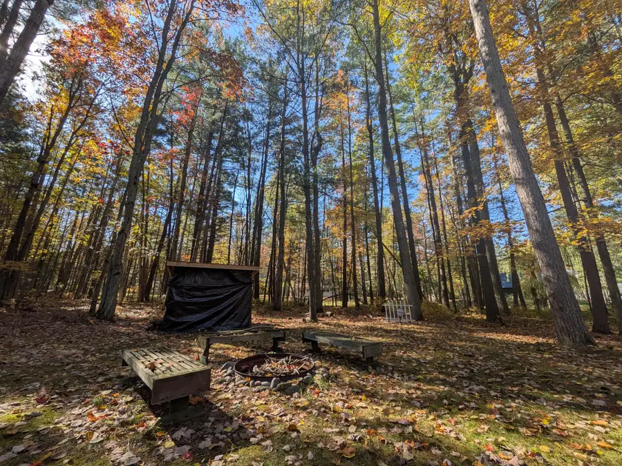 4019 E Higgins Lake Drive, Roscommon, MI 48653 - #3