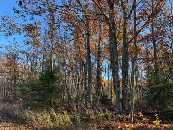 Lots 9-12 Charles Brink Road, Gaylord, MI 49735