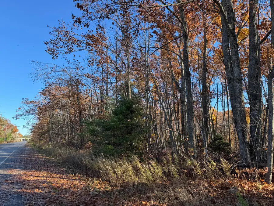 Lots 9-12 Charles Brink Road, Gaylord, MI 49735 - #3