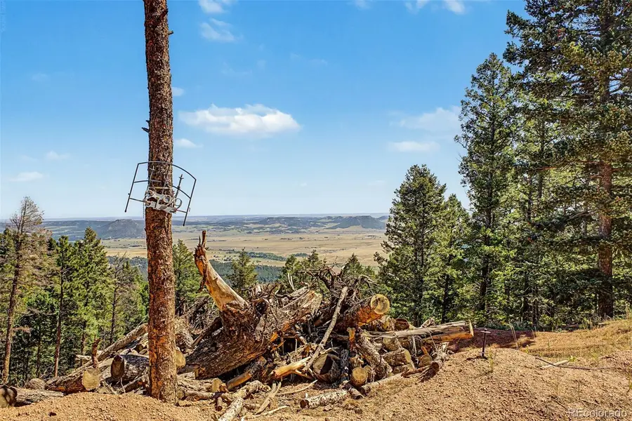 2199 Badger Drive, Larkspur, CO 80118 - #2
