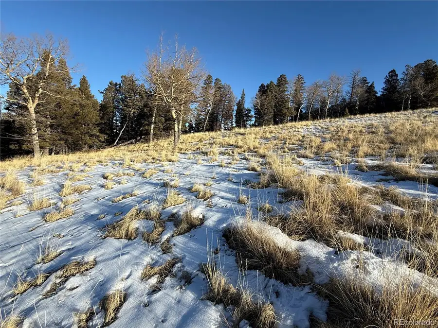 Lot 499 Collinson Drive, Fort Garland, CO 81133 - #3