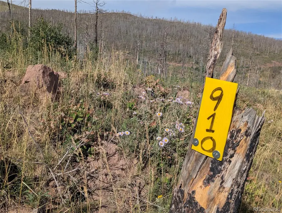 904/910 Ueda Place, Fort Garland, CO 81133 - Image #3