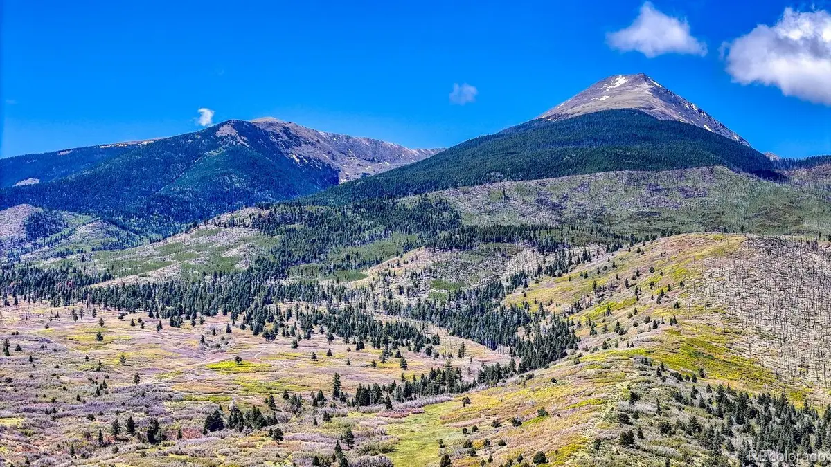 2269 Running Bear, Cotopaxi, CO 81223 - #1