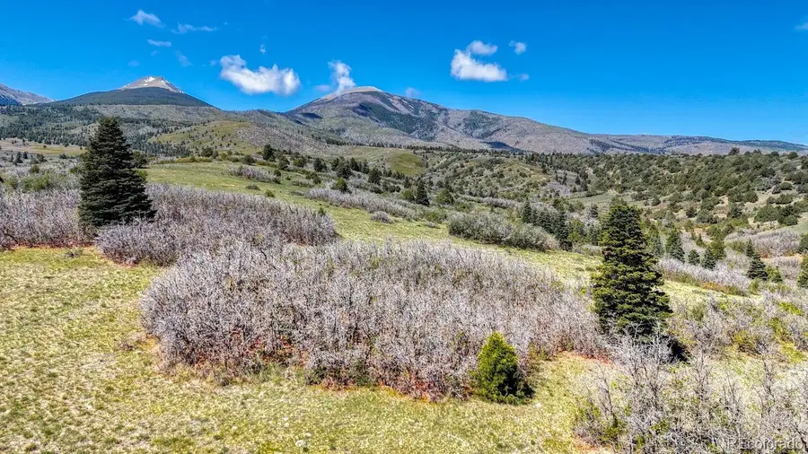 2269 Running Bear, Cotopaxi, CO 81223 - #2