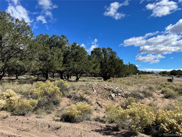 178 Moonlight, Crestone, CO 81131