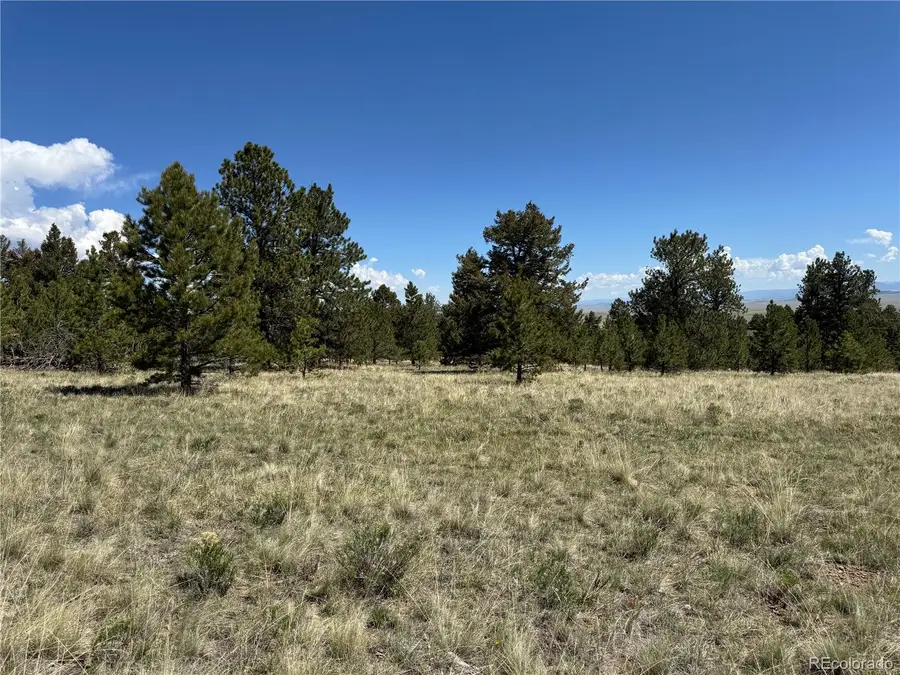 9430 Ranch Road, Hartsel, CO 80449 - Image #3