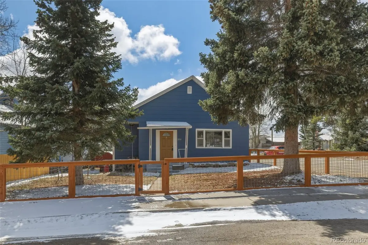 231 W 8th Street, Leadville, CO 80461 - #1