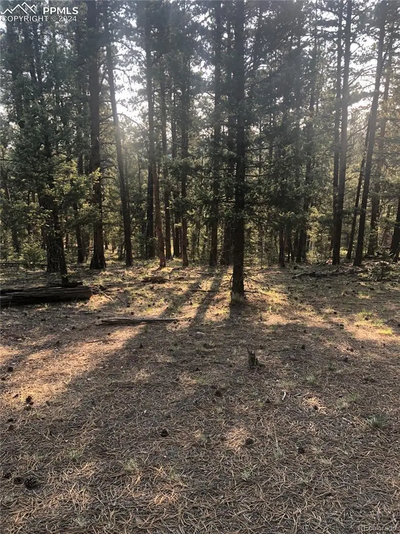 469 Echo Lake Drive, Lake George, CO 80827 - #1