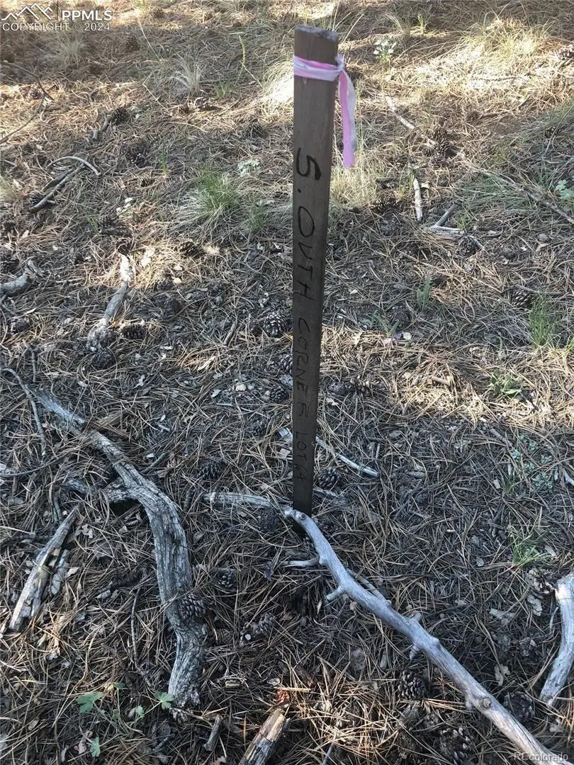 469 Echo Lake Drive, Lake George, CO 80827 - #3