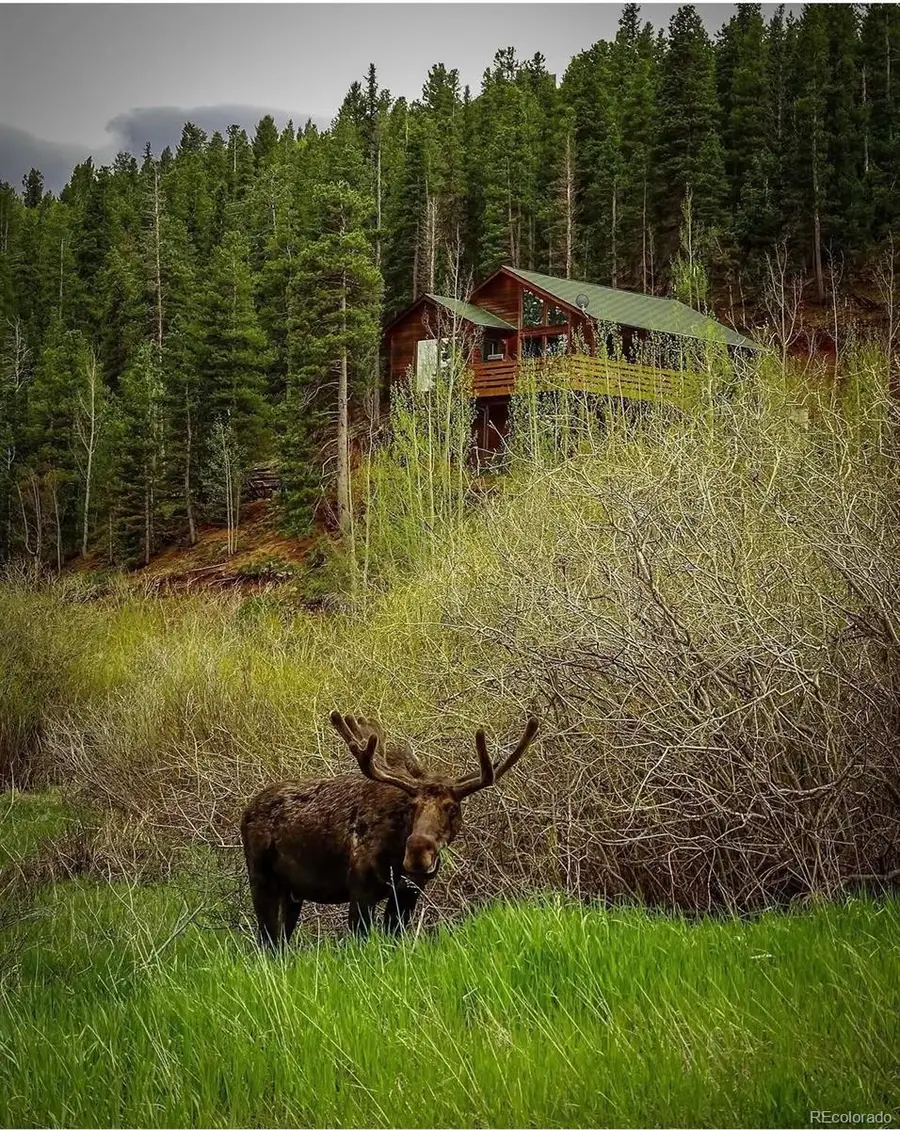 1682 Clark Road, Bailey, CO 80421 - #2