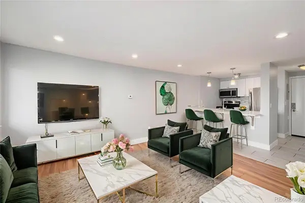 1125 N Washington Street #602, Denver, CO 80203