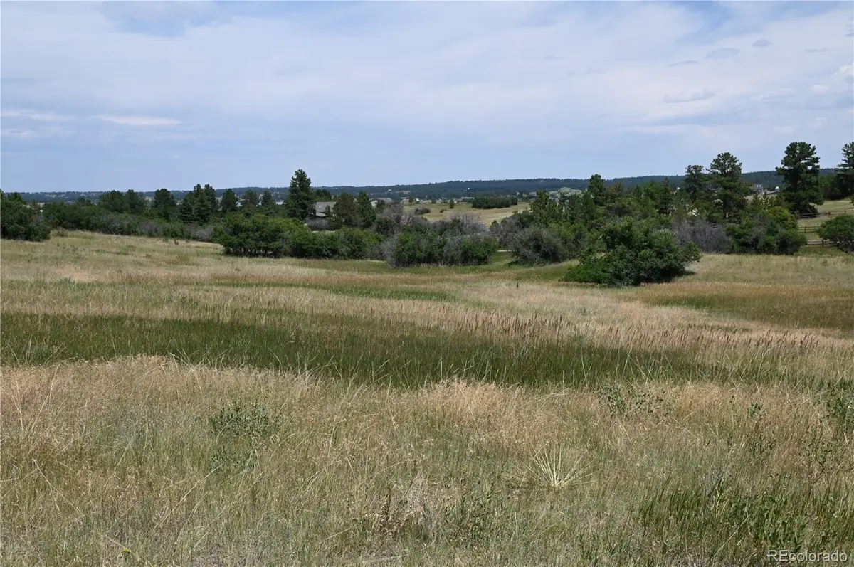 1579 Deerpath Road, Franktown, CO 80116 - #1