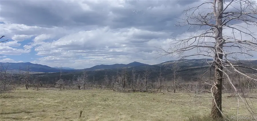 Lot 321 Hagin Lane, Fort Garland, CO 81133 - #3
