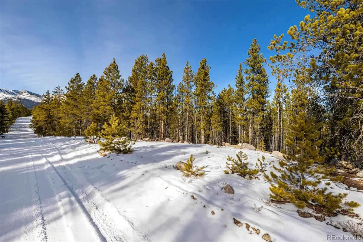 539 Sequoia Drive, Leadville, CO 80461 - Image #1