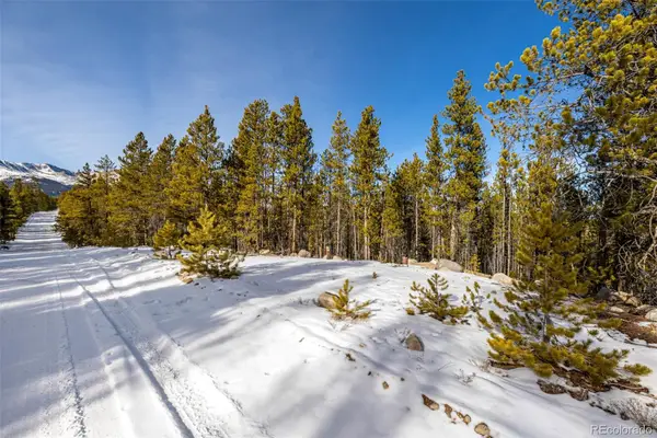 539 Sequoia Drive, Leadville, CO 80461