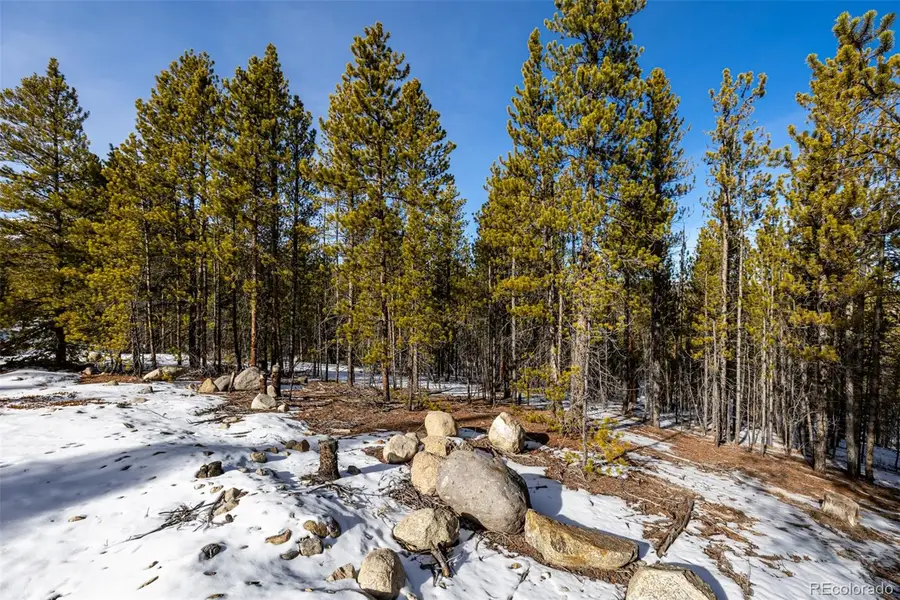 539 Sequoia Drive, Leadville, CO 80461 - Image #2