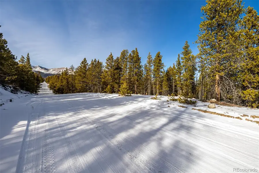 539 Sequoia Drive, Leadville, CO 80461 - Image #3