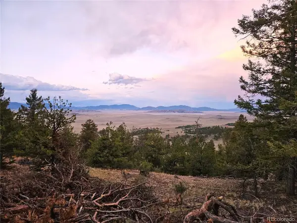 PCS#24807 Satanta Trail, Hartsel, CO 80449