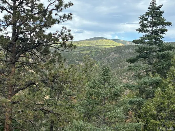 LOT 5965 Goldstein Road, San Luis, CO 81152