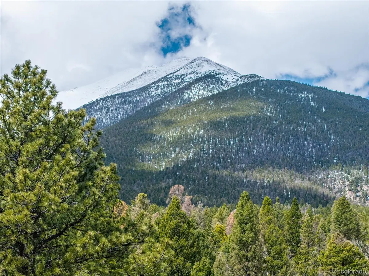 24900 County Road 339, Buena Vista, CO 81211 - #1