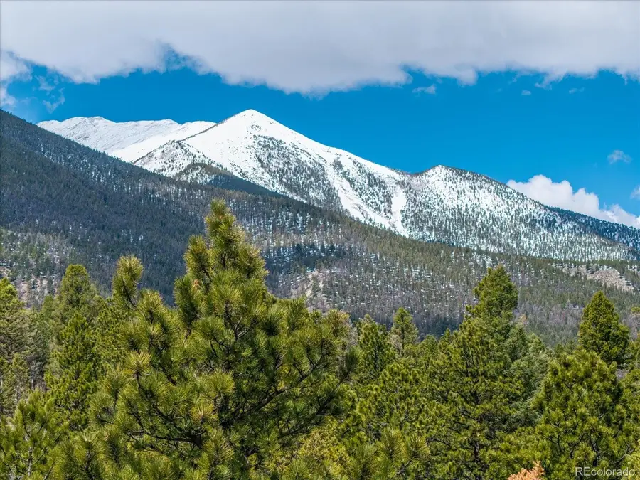 24900 County Road 339, Buena Vista, CO 81211 - #3