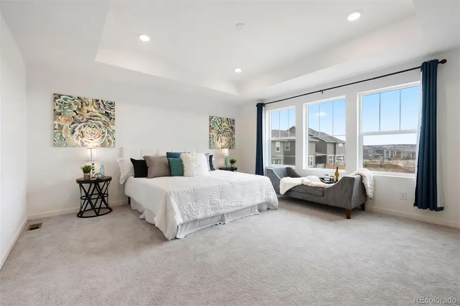 9092 Zeta Pass Court, Parker, CO 80134 - #2