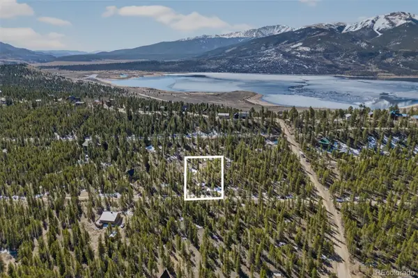312 Mt Massive Road, Twin Lakes, CO 81251