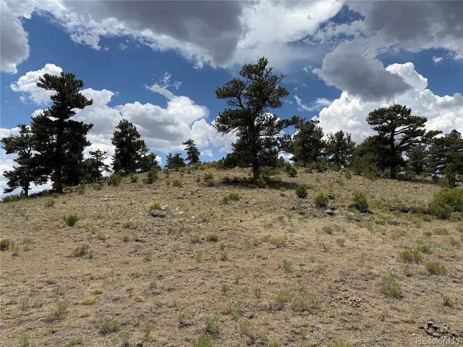 Hohokan Trail, Hartsel, CO 80449 - Image #2
