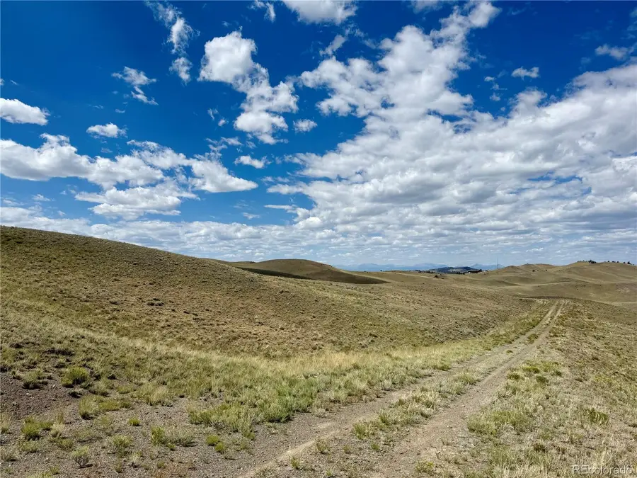 694 Black Beaver Circle, Hartsel, CO 80449 - Image #2