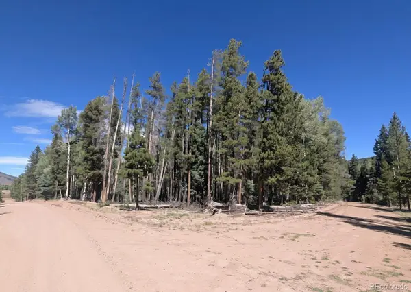 2895 Henderson Drive, Fort Garland, CO 81133