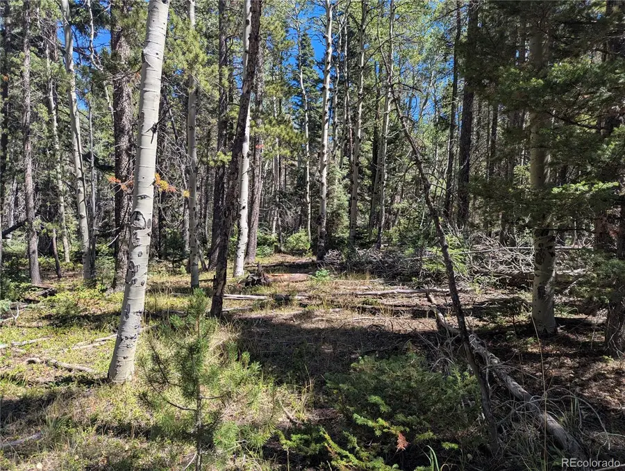 2895 Henderson Drive, Fort Garland, CO 81133 - #3