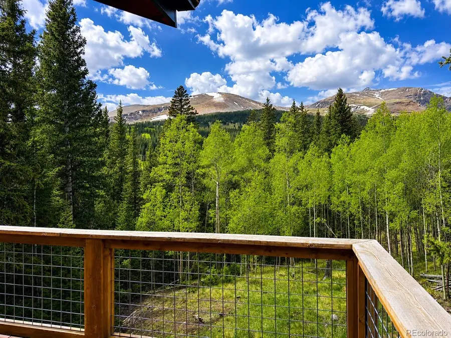 467 Nuthatch Drive, Alma, CO 80420 - #3