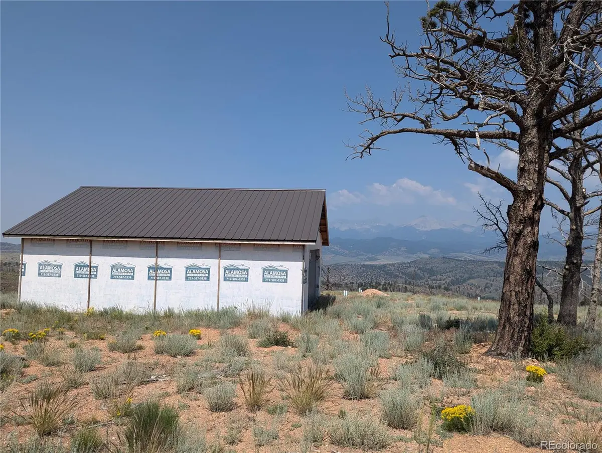 3772 Soubry Place, Fort Garland, CO 81133 - #1