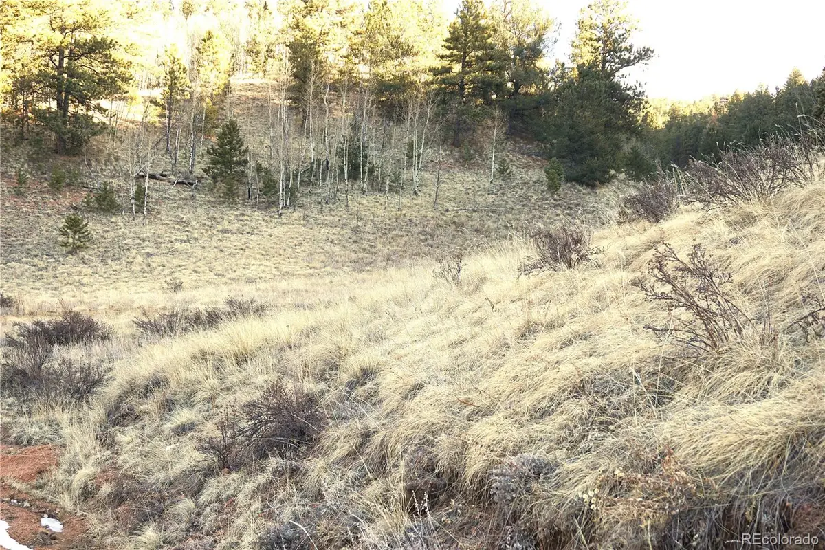 637 Valley Road, Divide, CO 80814 - #1