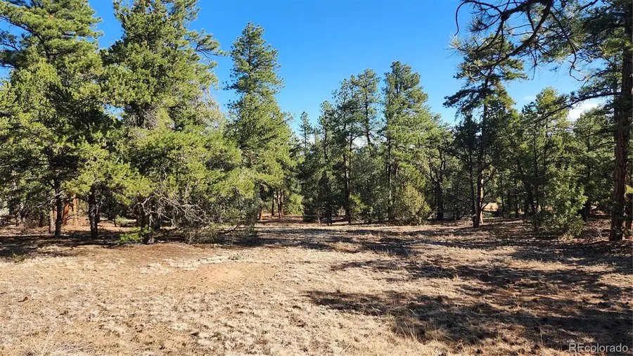 2417 Indian Wells Road, Cotopaxi, CO 81223 - #2