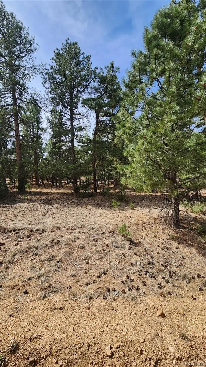 2417 Indian Wells Road, Cotopaxi, CO 81223 - #3