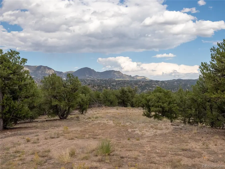 10286 Pioneer Trc, Nathrop, CO 81236 - #3